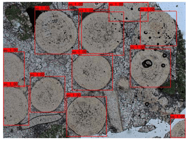 Ooids detection by AI