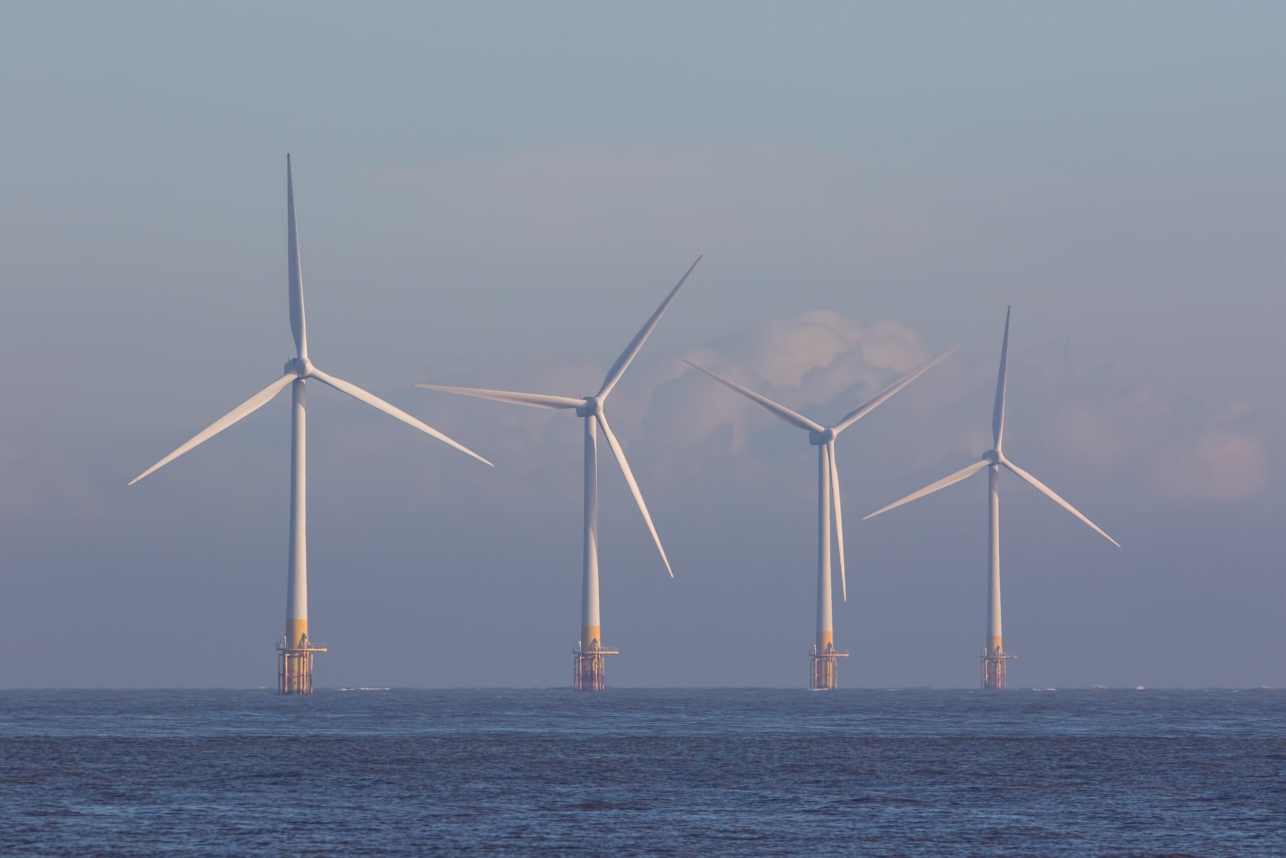 Offshore wind turbines off the coast of Great Yarmouth. Credit Shutterstock